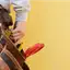 Handyman repair service in Bloomington, IN for home fixes and improvements